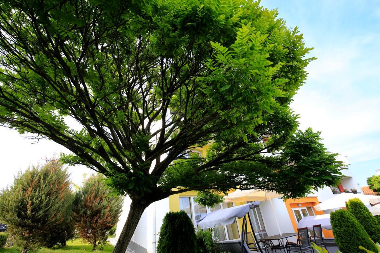 Stayinn Rainbow Houses Beachfront By Asteri Hotels Σάνι Μπιτς Εξωτερικό φωτογραφία